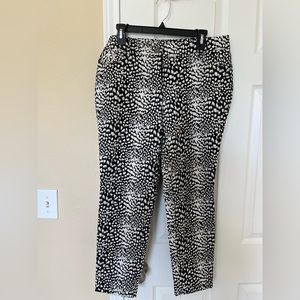 Cache Animal Print Cropped Pants